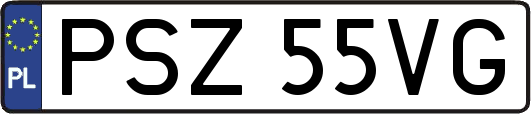 PSZ55VG