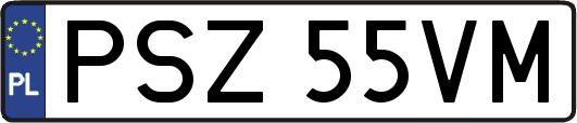 PSZ55VM