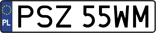 PSZ55WM
