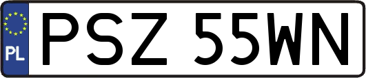 PSZ55WN