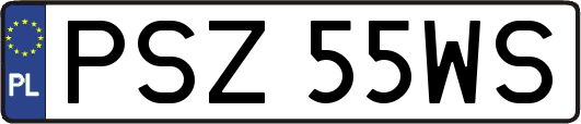 PSZ55WS