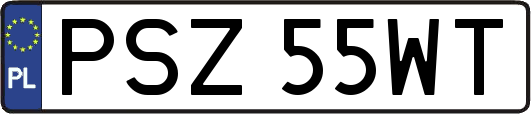 PSZ55WT