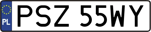 PSZ55WY