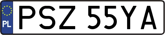 PSZ55YA