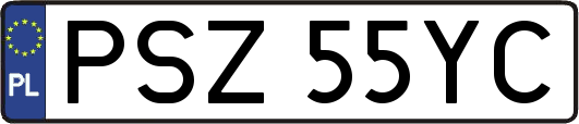 PSZ55YC