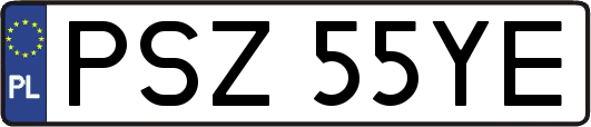 PSZ55YE