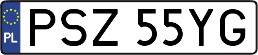 PSZ55YG