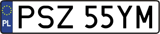 PSZ55YM