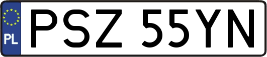 PSZ55YN