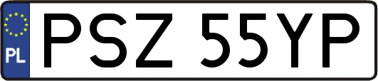 PSZ55YP
