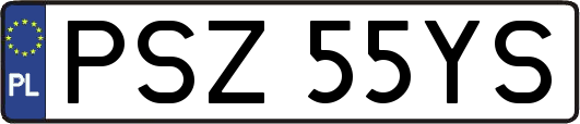 PSZ55YS