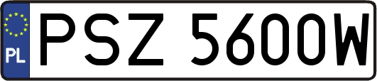 PSZ5600W