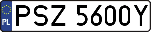 PSZ5600Y