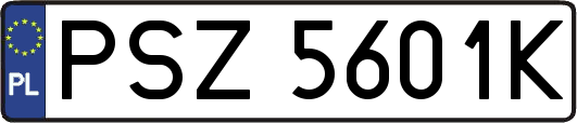 PSZ5601K