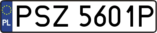 PSZ5601P