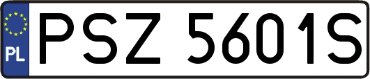 PSZ5601S