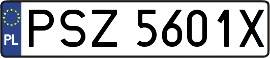 PSZ5601X