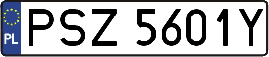 PSZ5601Y