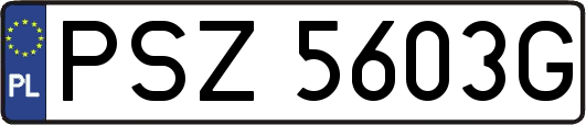 PSZ5603G
