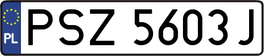 PSZ5603J
