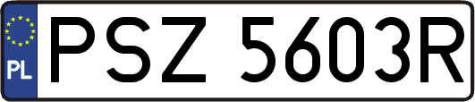 PSZ5603R