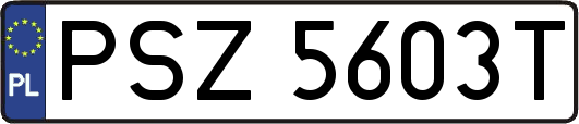 PSZ5603T