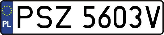PSZ5603V