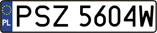 PSZ5604W