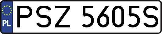 PSZ5605S