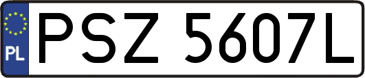 PSZ5607L