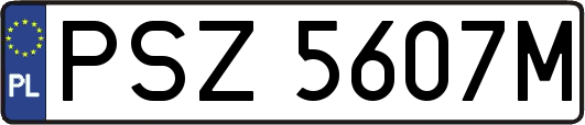 PSZ5607M