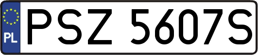 PSZ5607S