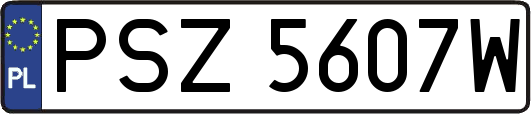 PSZ5607W