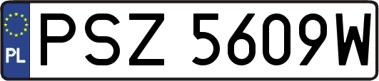 PSZ5609W