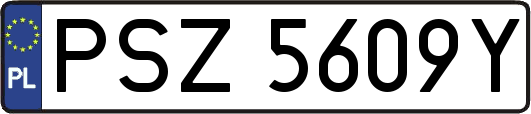 PSZ5609Y