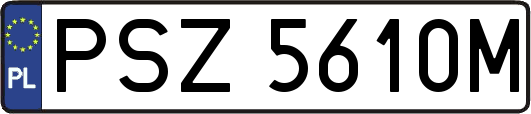 PSZ5610M