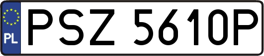 PSZ5610P
