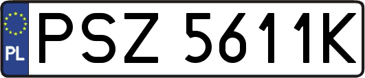 PSZ5611K