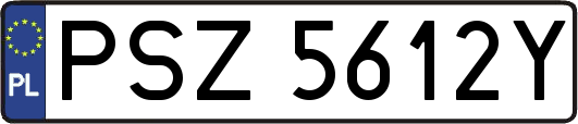 PSZ5612Y