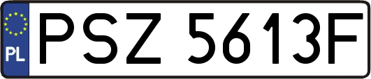 PSZ5613F