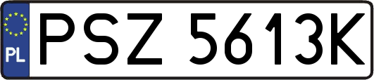 PSZ5613K