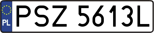 PSZ5613L