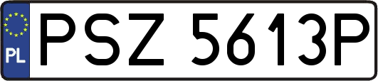 PSZ5613P