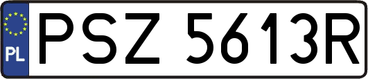PSZ5613R