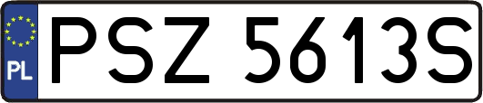 PSZ5613S