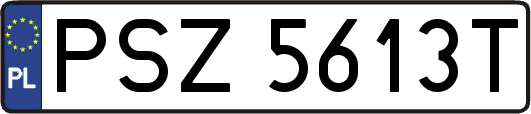 PSZ5613T