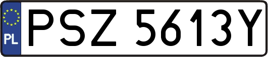 PSZ5613Y