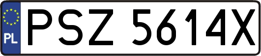 PSZ5614X