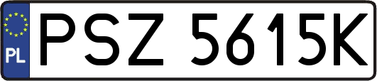 PSZ5615K