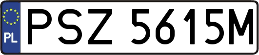 PSZ5615M